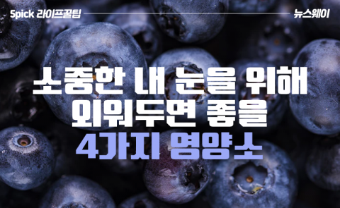 소중한 내 눈을 위해 외워두면 좋을 4가지 영양소