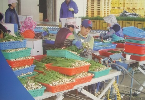 고창군, 농촌복지 증진사업 확대