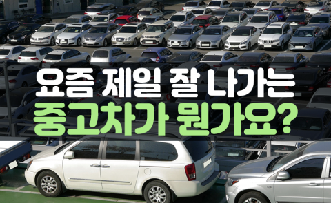 요즘 제일 잘 나가는 중고차가 뭔가요?