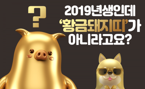 2019년생인데 ‘황금돼지띠’가 아니라고요?