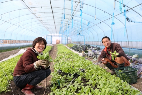 완주군, 농업인 월급제 확대 시행