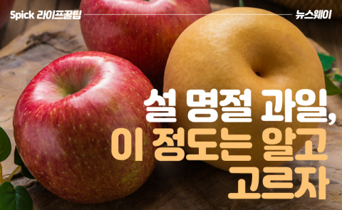 설 명절 과일, 이 정도는 알고 고르자