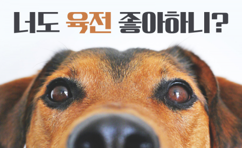 너도 육전 좋아하니?