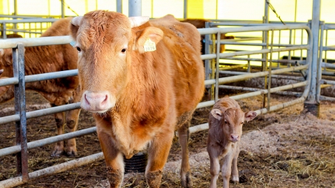 장수군, 축산농가 축분문제 해결 총력!