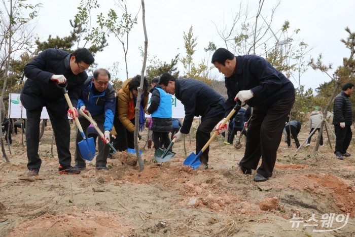 박우량(왼쪽) 군수가 15일 자은면 자연휴양림에서 주민‧유관기관단체‧공무원 등 500여명이 참여한 가운데 가시나무, 구실잣밤나무 등 난대수종 1,200그루를 식재하고 있다. (사진제공=신안군)