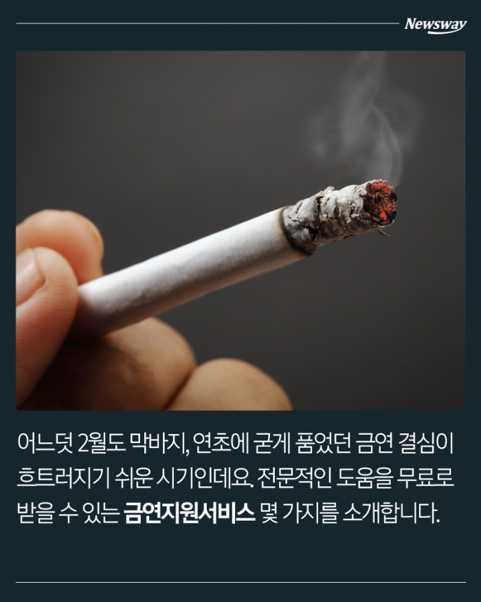 금연, 결심만 반복하는 이들을 위한 카드뉴스 기사의 사진