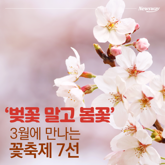 ‘벚꽃 말고 봄꽃’ 3월에 만나는 꽃축제 7선 기사의 사진