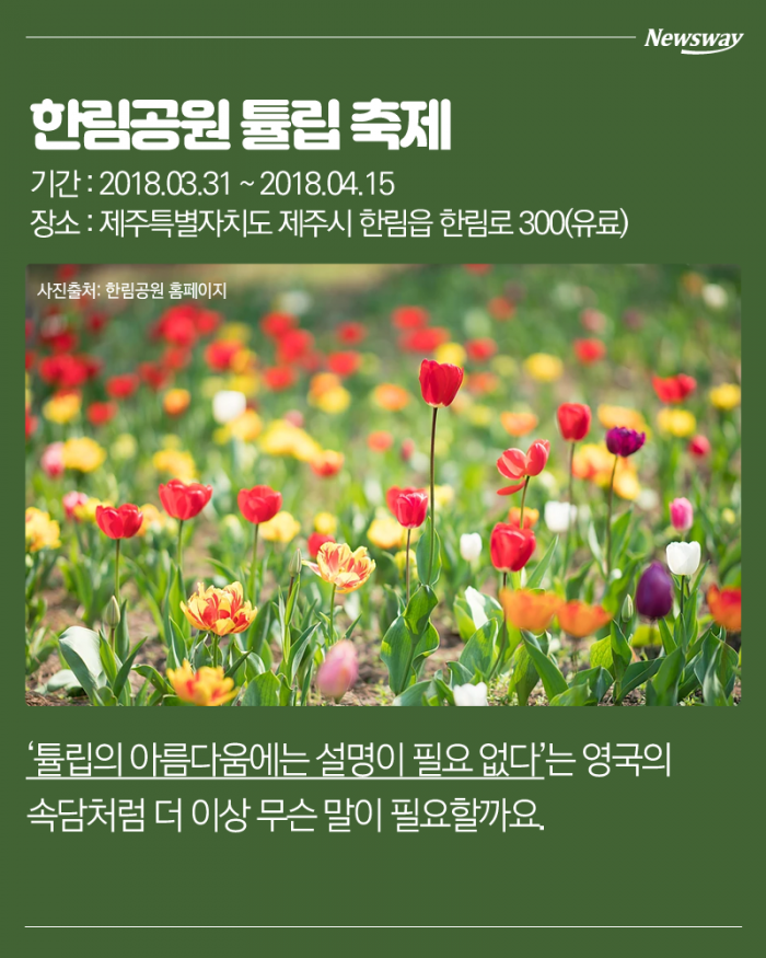 ‘벚꽃 말고 봄꽃’ 3월에 만나는 꽃축제 7선 기사의 사진