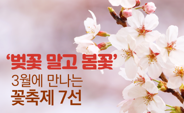 ‘벚꽃 말고 봄꽃’ 3월에 만나는 꽃축제 7선