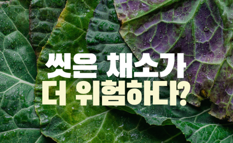 씻은 채소가 더 위험하다?