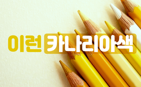 두 유 노 카나리아색?