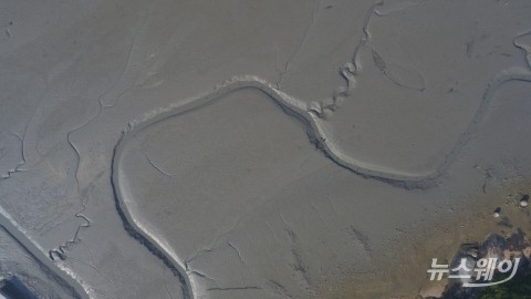 신안갯벌 등 ‘한국의 갯벌’ 세계자연유산 등재 한발 내디뎌