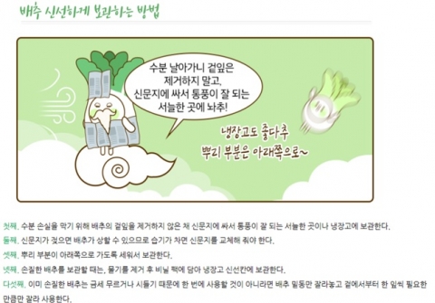 aT, 월동채소류 소비활성화에 나선다