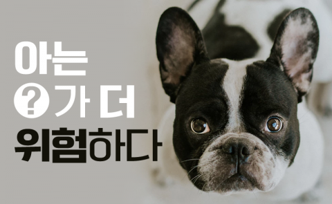 아는 ○가 더 위험하다
