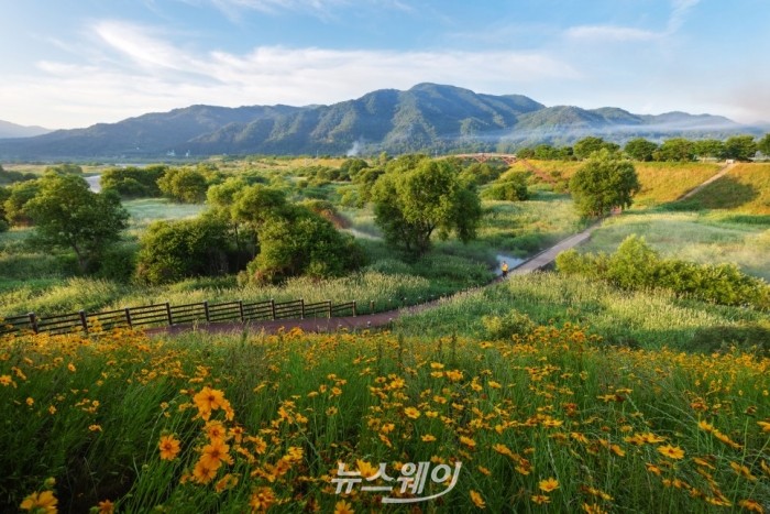 곡성 섬진강 침실습지(사진=곡성군)