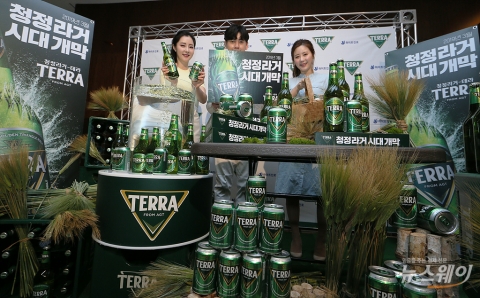 하이트진로, 맥주 출고가 조정 장고···왜?