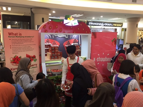 말레이시아, K-디저트의 달콤함에 빠지다!