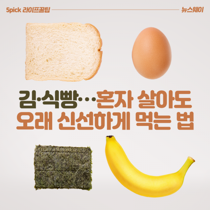 김, 식빵···혼자 살아도 오래 신선하게 먹는 법 기사의 사진