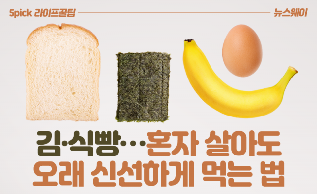김, 식빵···혼자 살아도 오래 신선하게 먹는 법