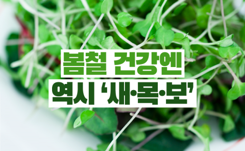 봄철 건강엔 역시 ‘새·목·보’