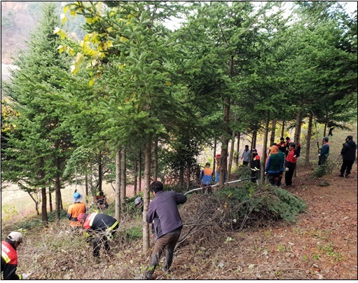 장수군,2019년 숲가꾸기사업 추진