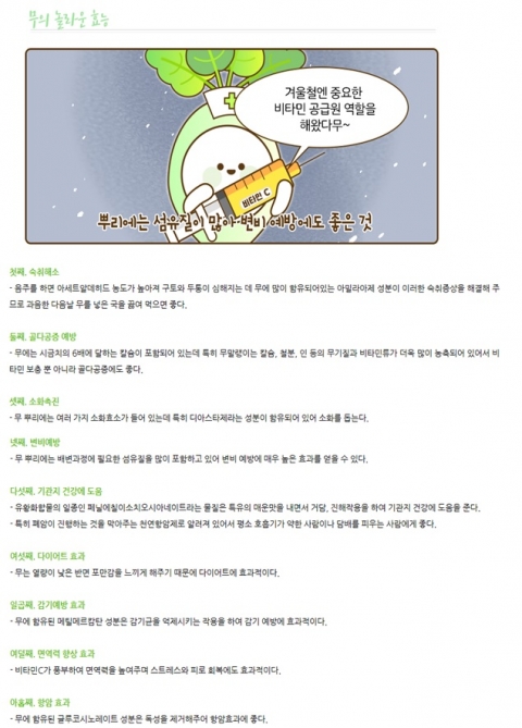 aT, ‘월동무’ 등 효능 알리며 월동채소 소비촉진 적극 나선다