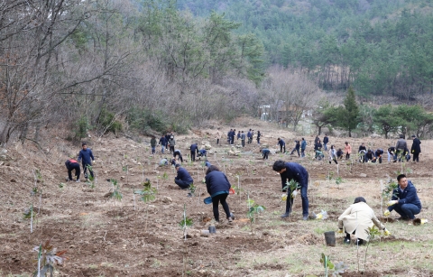 고흥군, 식목일 맞아 나무심기 행사 개최
