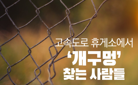 고속도로 휴게소에서 ‘개구멍’ 찾는 사람들