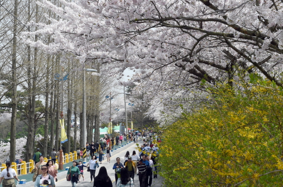 목포 유달산 봄 축제 전경