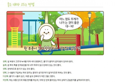 “대파, 감기예방과 피로회복에 효과 만점”