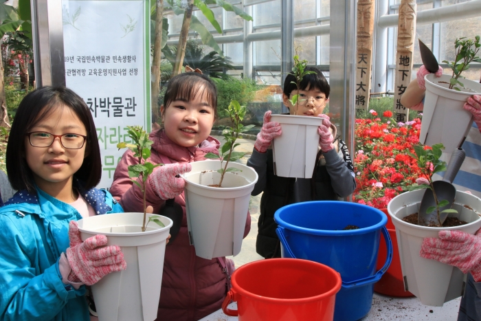 보성군, 한국차박물관 차나무 심기 프로그램 운영 기사의 사진