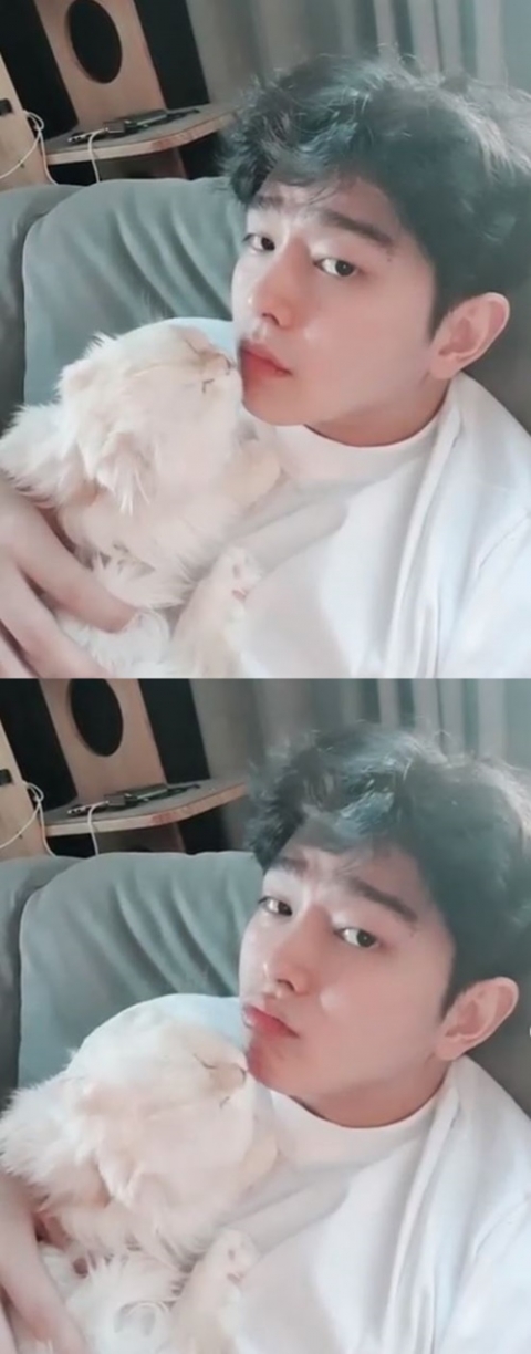 윤균상 반려묘 솜이, 세상 떠나···“눈물 속에 인사하고 보내줬다”