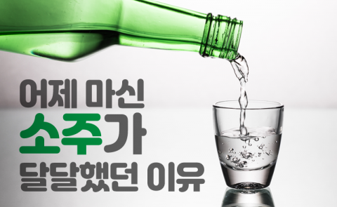 어제 마신 소주가 달달했던 이유