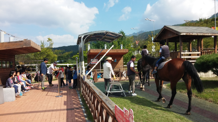 한국마사회 장수목장 승마체험 모습