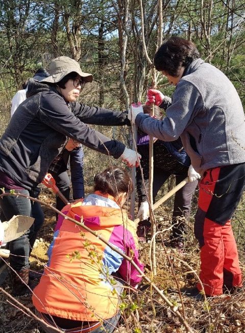 무주군 안성면 , 오도재길 나무심기 행사 진행