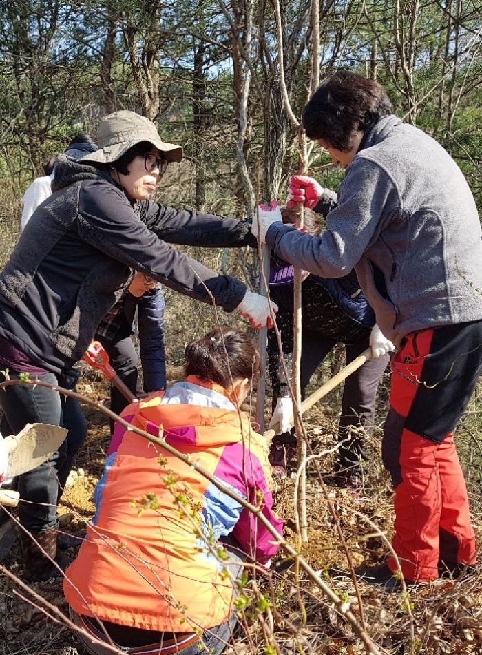 무주군 안성면 , 오도재길 나무심기 행사 진행 기사의 사진