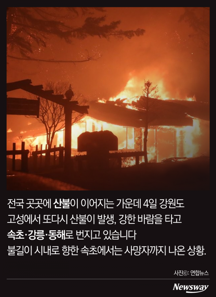최악의 산불들, 왜 하필 4월일까? 기사의 사진