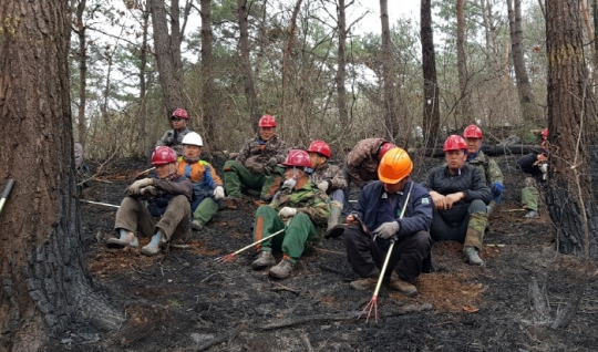 강원지역 산불진화 작업에 참여한 산림조합 임직원과 영림단.