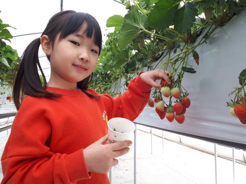 고창군, 신개념 시티투어 팜팜시골버스 운행시작