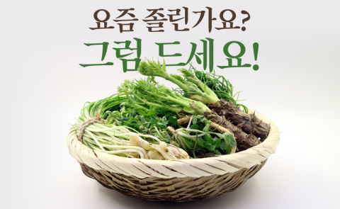 요즘 졸린가요? 그럼 드세요!