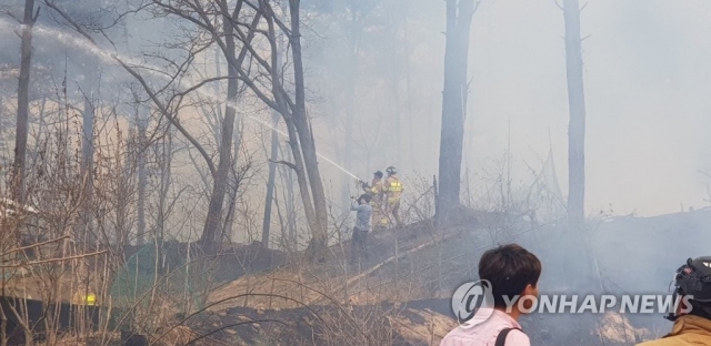대전 대정동 야산서 ‘불’···바람타고 확산 중