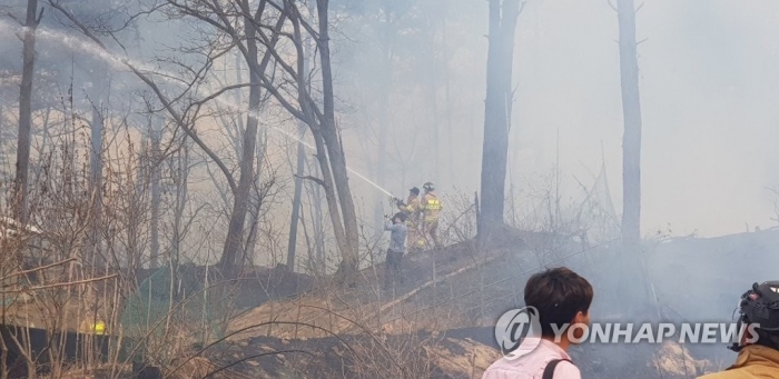 대전 대정동 야산서 ‘불’···바람타고 확산 중. 사진=연합뉴스