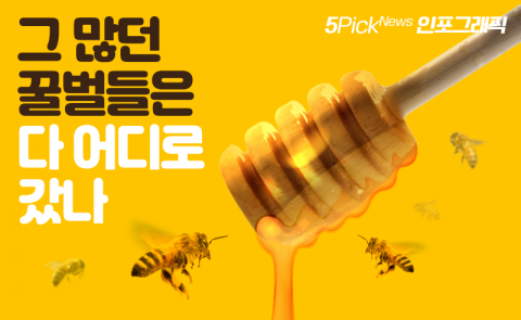 그 많던 꿀벌들은 다 어디로 갔나
