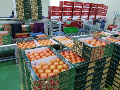 임실군, 원예농산물산업 평가 만점 ‘전국 1위’  차지