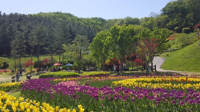 용인시, 농촌테마파크서 봄꽃축제 ‘스프링 가든파티’ 연다