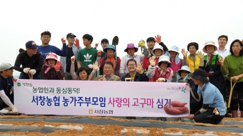 서창농협 농가주부모임, ‘사랑의 고구마 심기’