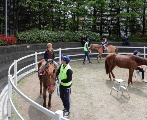 한국마사회, 도시민 대상 ‘무료 승마체험’...말산업 성장에 탄력