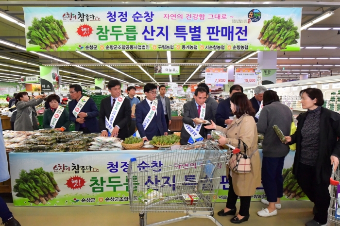 순창 참두릅, 지역 대표 효자 농산물로 자리매김 기사의 사진