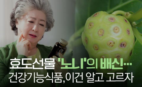 효도선물 ‘노니’의 배신···건강기능식품, 이건 알고 고르자