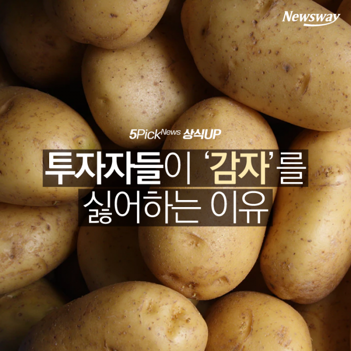 투자자들이 ‘감자’를 싫어하는 이유 기사의 사진